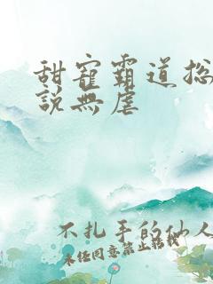 甜宠霸道总裁小说无虐