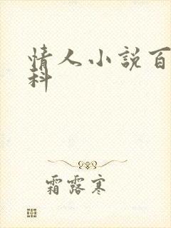 情人小说百度百科