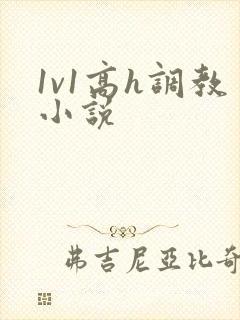 1v1高h调教小说