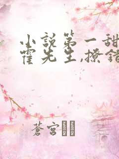 小说第一甜妻:霍先生,撩错了