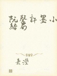 阮声许墨小说大结局