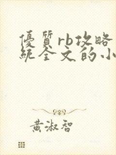 优质rb攻略系统全文的小说