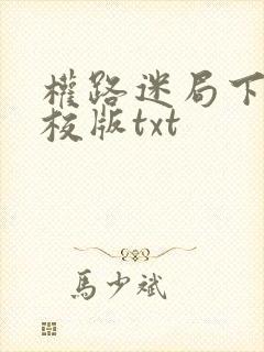 权路迷局下载精校版txt