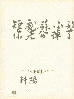 短剧,苏小姐,你老公掉了