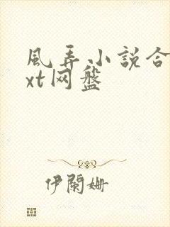 风弄小说合集txt网盘