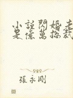 小说闪婚老公竟是亿万总裁,