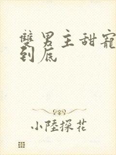 双男主甜宠一更到底