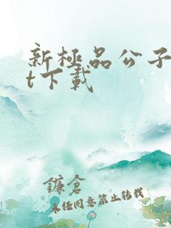 新极品公子txt下载