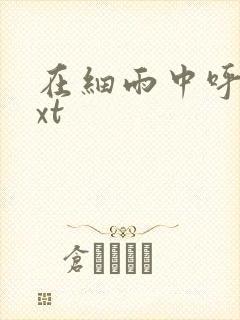 在细雨中呼喊txt