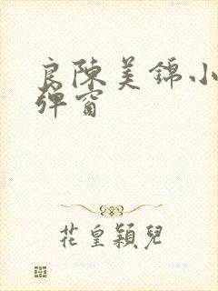 良陈美锦小说无弹窗