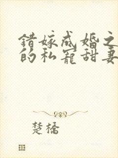 错嫁成婚之总裁的私宠甜妻