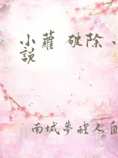 小萝 破除 小说