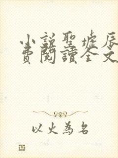 小说圣墟辰东免费阅读全文无窗口