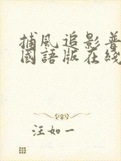 捕风追影普通话国语版在线观看