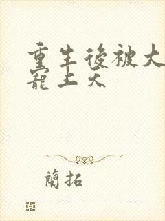 重生后被大佬们宠上天