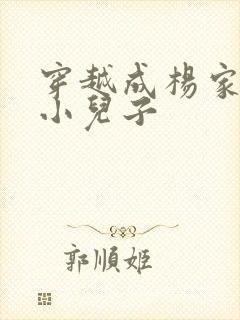 穿越成杨家将最小儿子