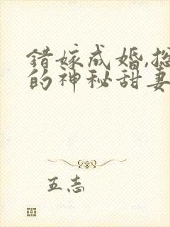 错嫁成婚,总裁的神秘甜妻