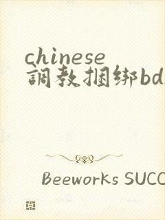 chinese调教捆绑bdsm