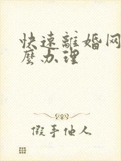 快速离婚网上怎么办理