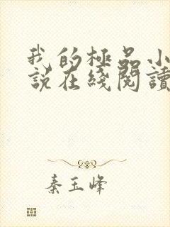 我的极品小姨小说在线阅读全文免费