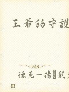 王爷的守护男妃