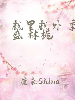 戏里戏外 季淮盛 林栀