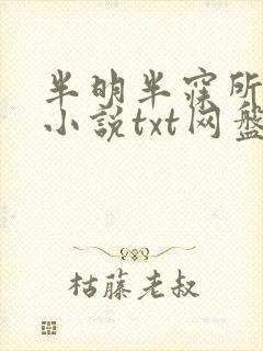 半明半寐所有的小说txt网盘