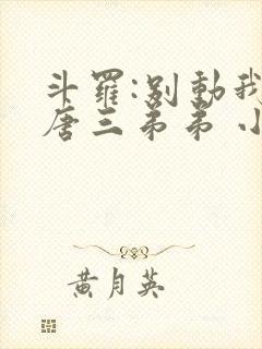 斗罗:别动我的唐三弟弟 小说完整