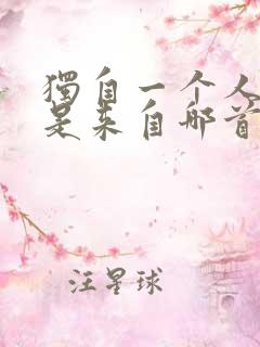 独自一个人歌词是来自哪首歌