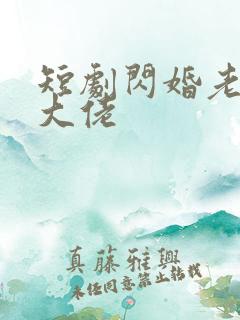 短剧闪婚老公是大佬