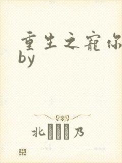 重生之宠你不够by