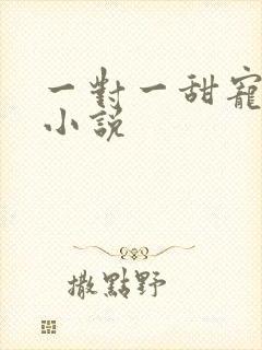 一对一甜宠短篇小说