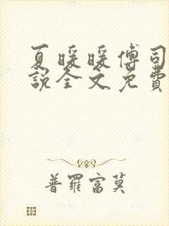 夏暖暖傅司寒小说全文免费阅读