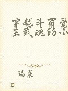 穿越斗罗觉醒圣主武魂的小说
