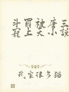 斗罗被唐三哥哥宠上天小说