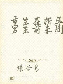 重生在折辱清冷男主前未删减