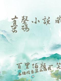 有声小说 藏地密码