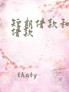 短期借款和长期借款