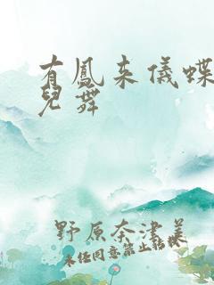 有凤来仪蝶儿蝶儿舞
