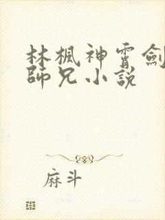 林枫神霄剑宗大师兄小说