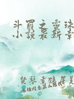 斗罗之灵珠神剑小说最新章节目录