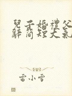 儿子婚礼父亲致辞简短大气讲话稿