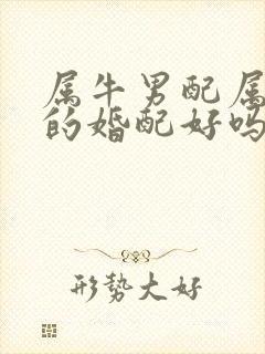 属牛男配属牛女的婚配好吗
