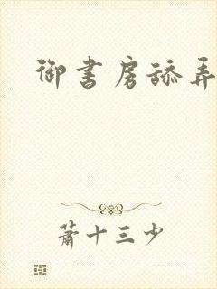 御书房舔弄花心