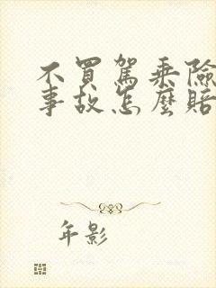 不买驾乘险出了事故怎么赔