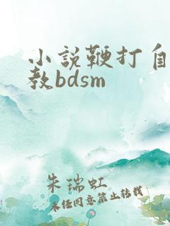 小说鞭打自愿调教bdsm