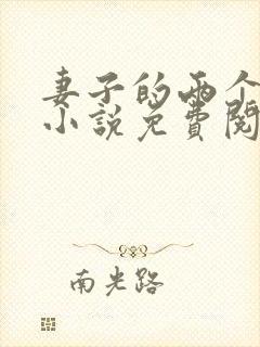 妻子的两个老公小说免费阅读