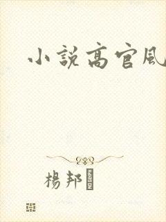 小说高官风流