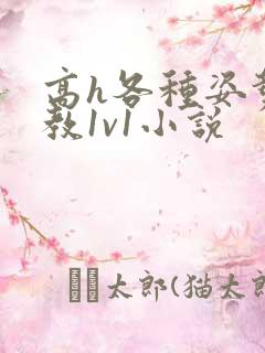 高h各种姿势调教1v1小说