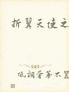 折翼天使之城3